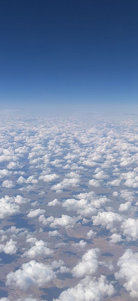 Photo #9717447