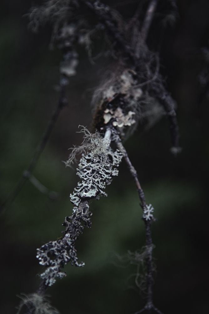 Photograph by Евгения Гловацкая