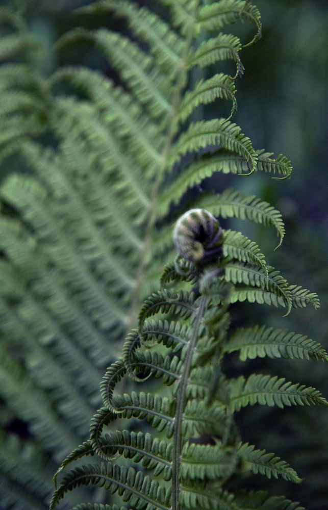 Photograph by Евгения Гловацкая