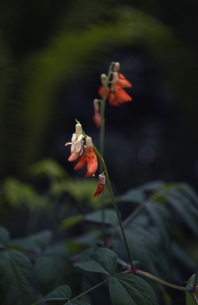 Photograph by Евгения Гловацкая