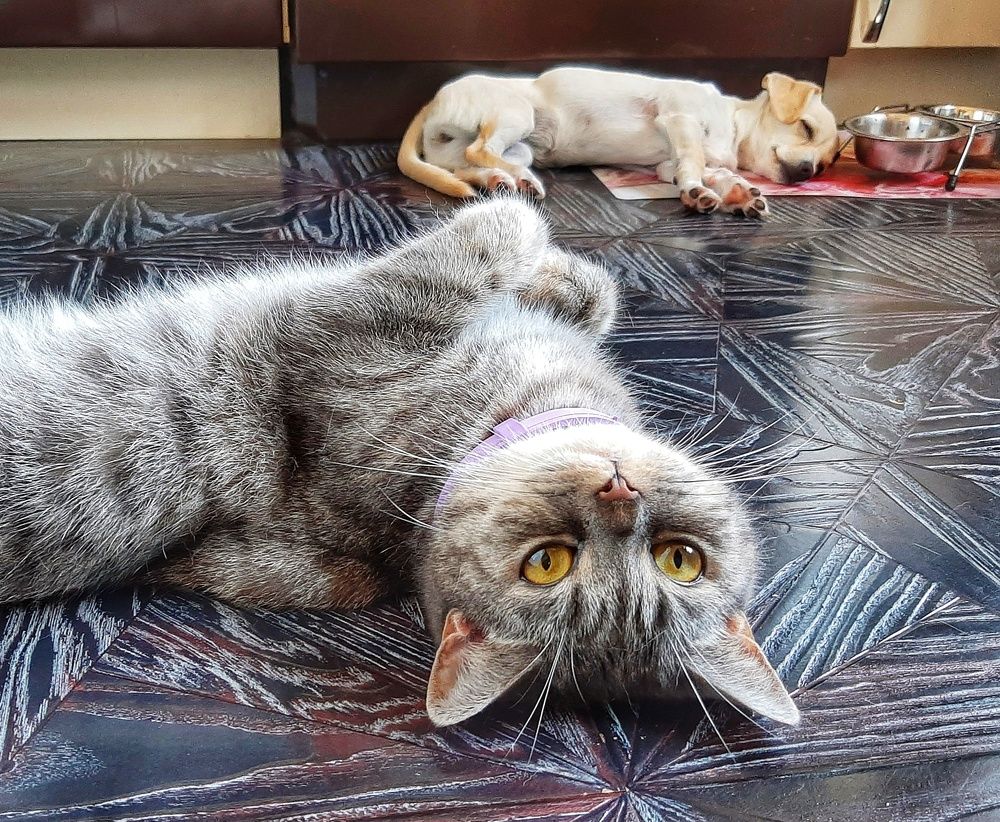 Photograph by Юлия Коробкова