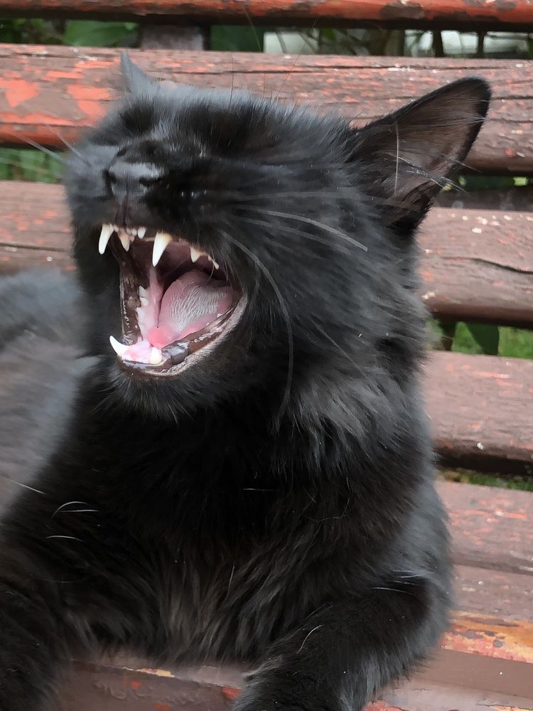 Photograph by Мария Бессмертная