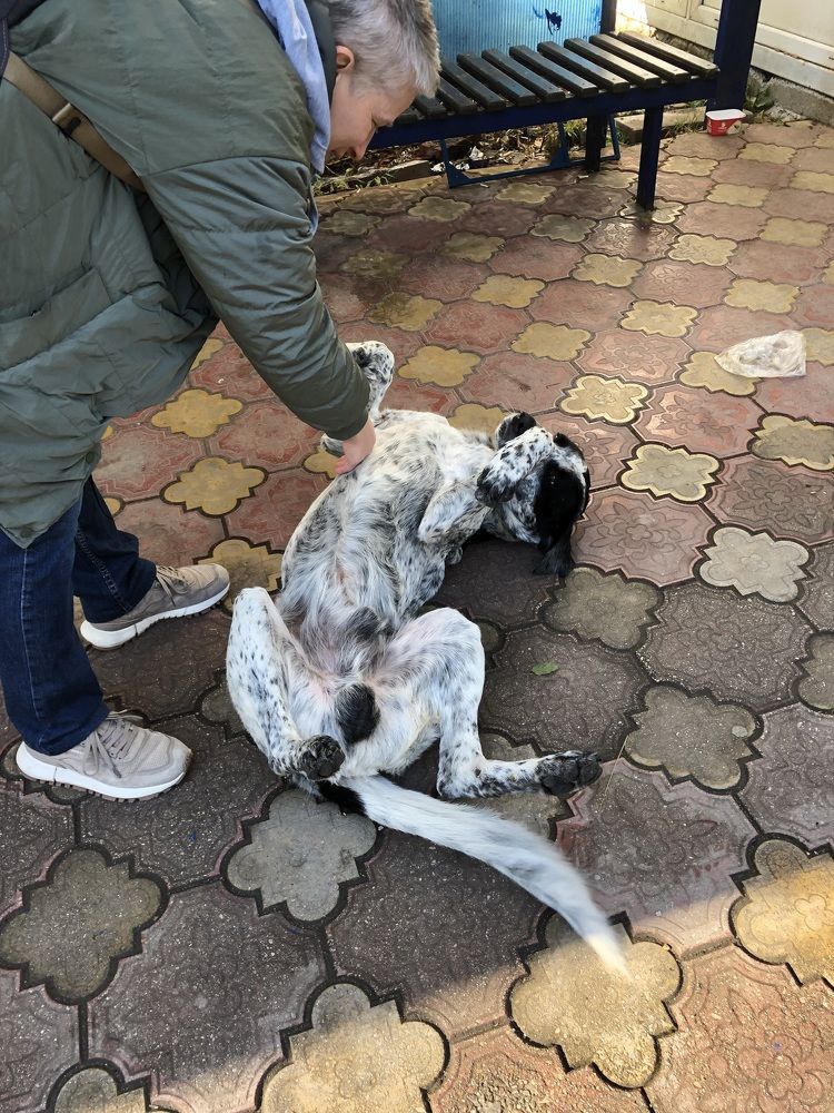 Photograph by Мария Бессмертная