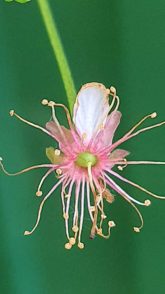 Photograph by Виктория Образцова