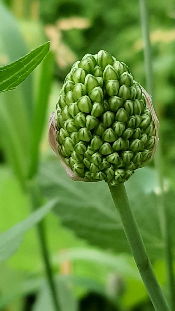 Photograph by Виктория Образцова