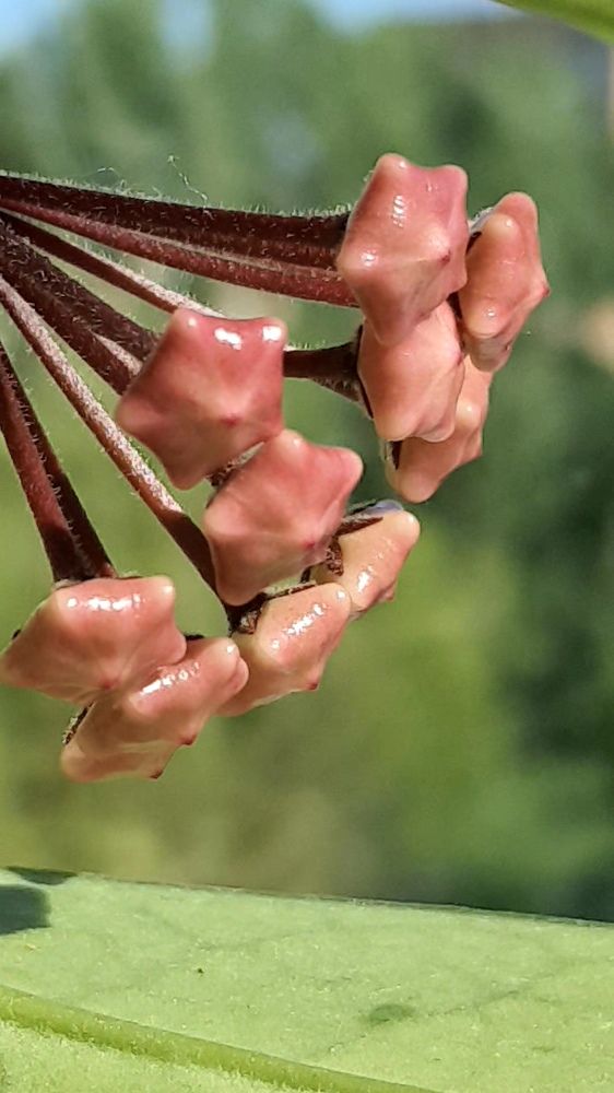 Photograph by Виктория Образцова