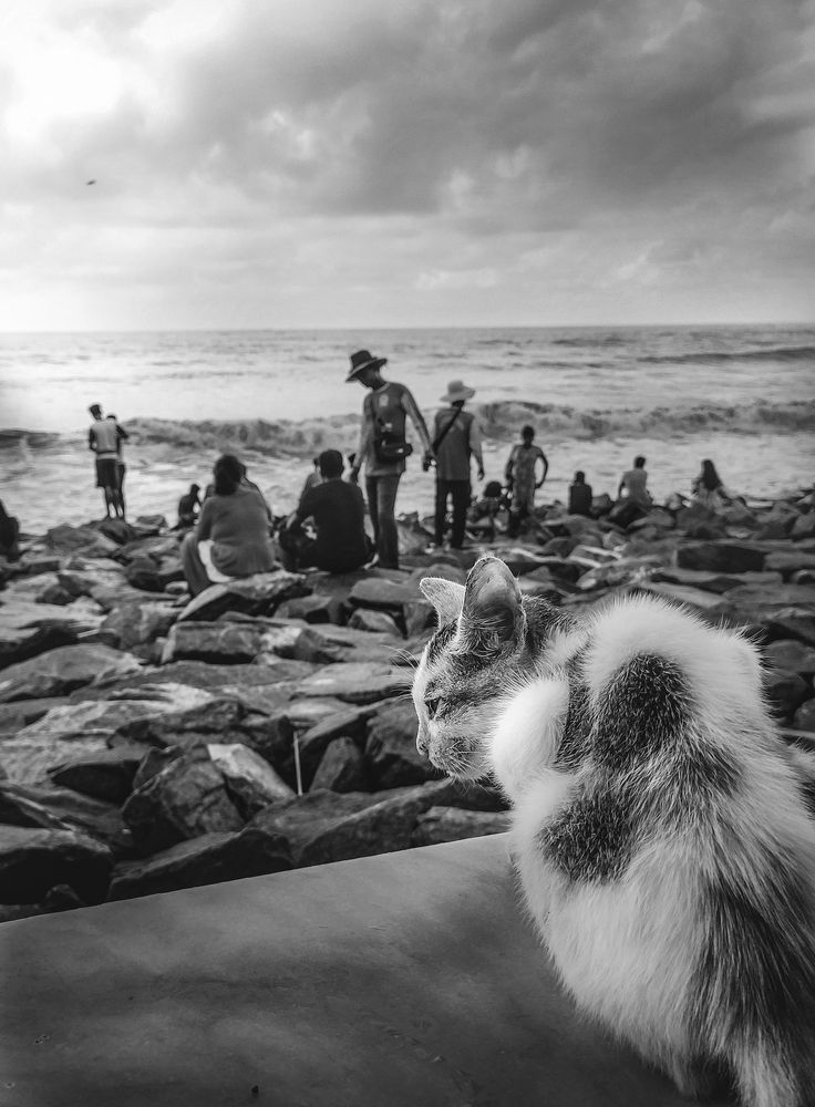 Photograph by Ritam Nath