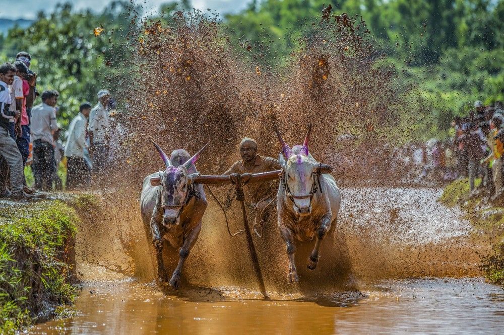 Photograph by Pruthviraj Patil