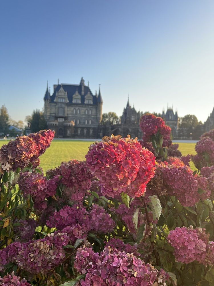 Photograph by Людмила Никитина