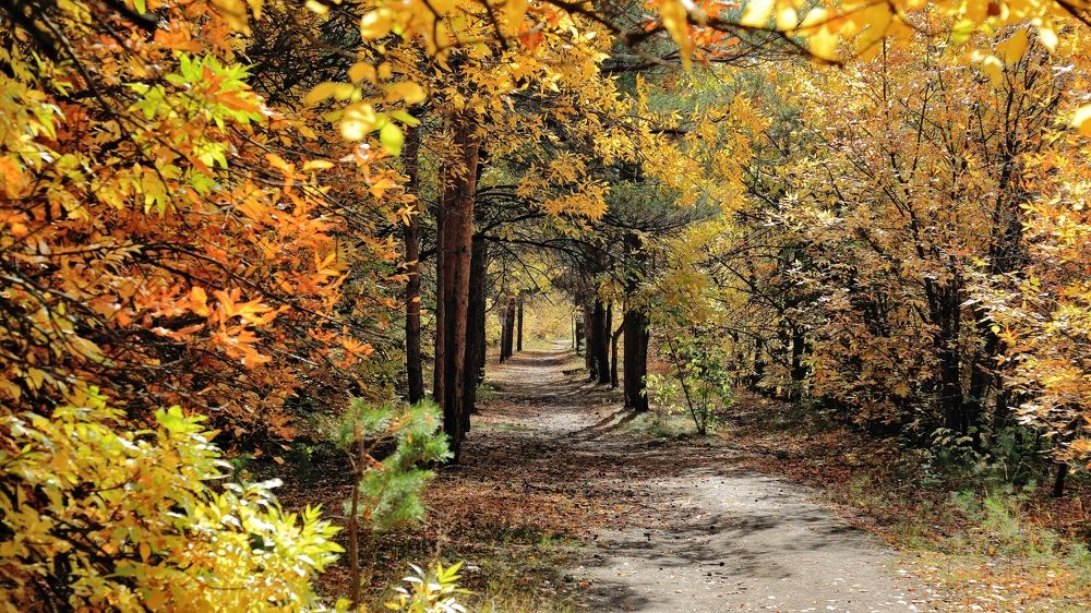 Photograph by Сергей Жданов