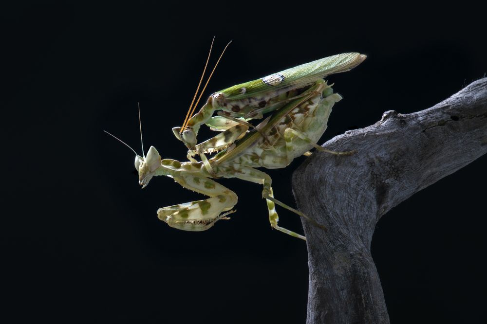 Photograph by Cao Thanh Hải