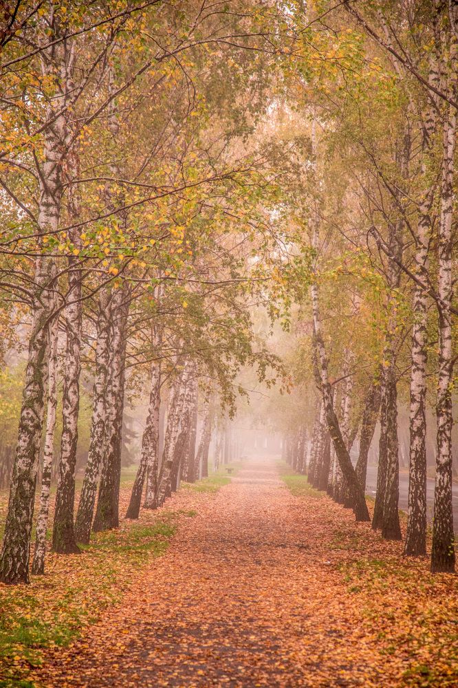 Photograph by Игорь Квочка