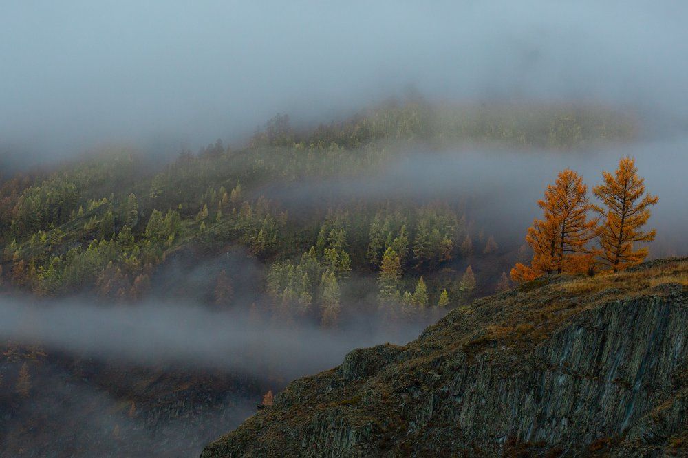 Photograph by Марина Бузина