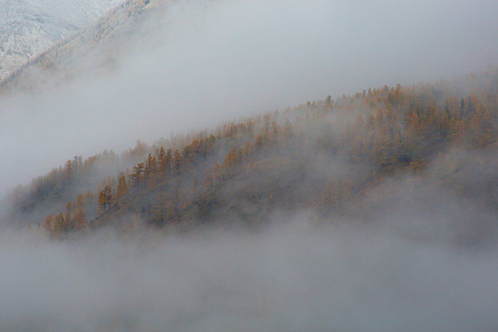 Photograph by Марина Бузина