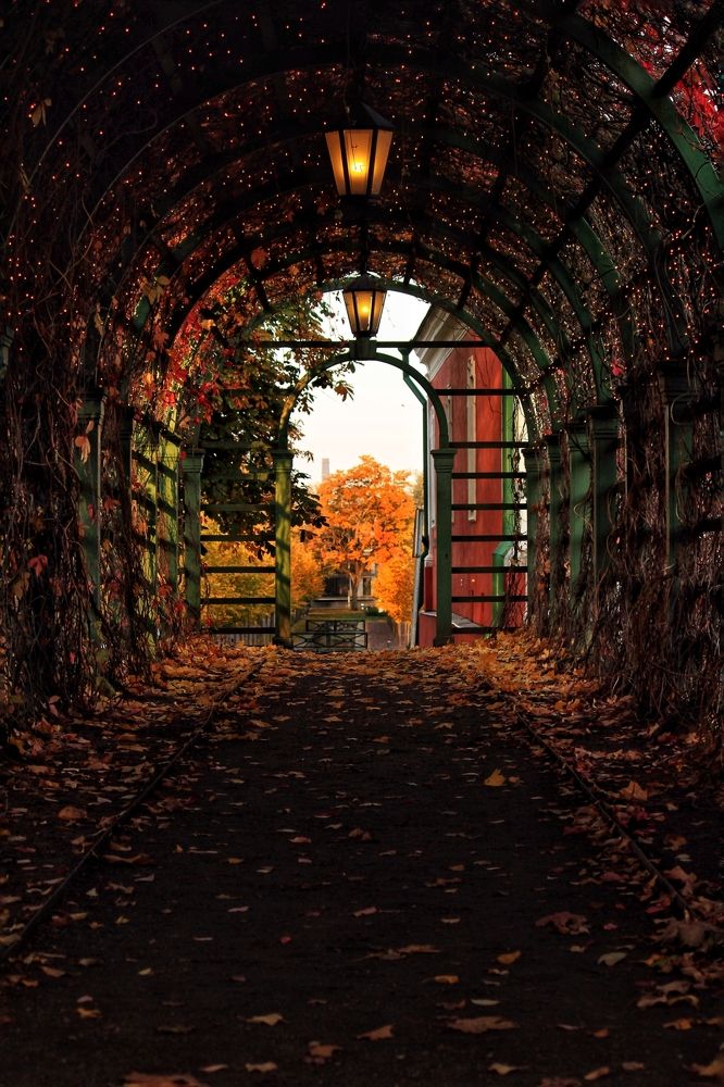 Photograph by Ирина Салминен