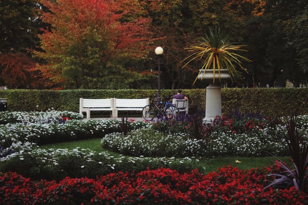 Photograph by Ирина Салминен