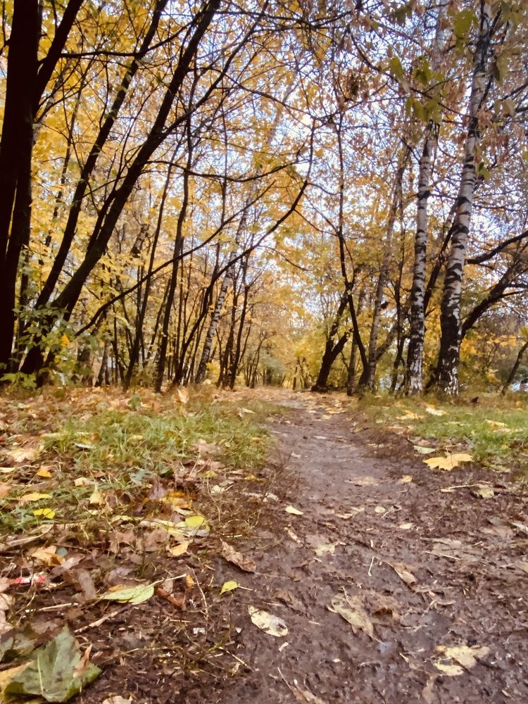 Photograph by Юлия