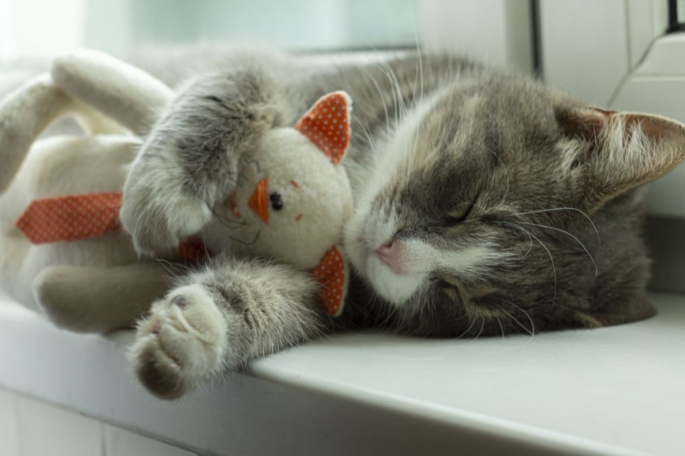 Photograph by Ольга Крючкова