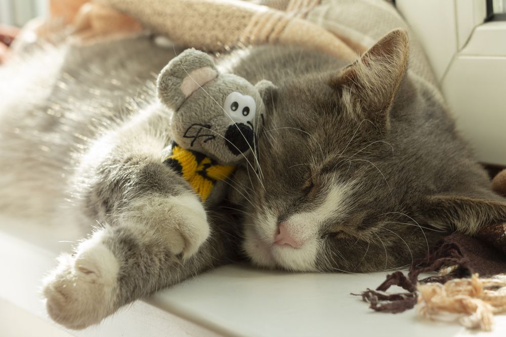 Photograph by Ольга Крючкова