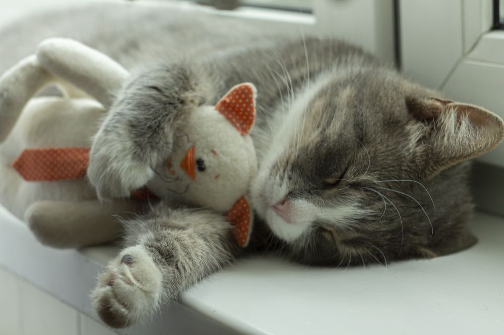 Photograph by Ольга Крючкова