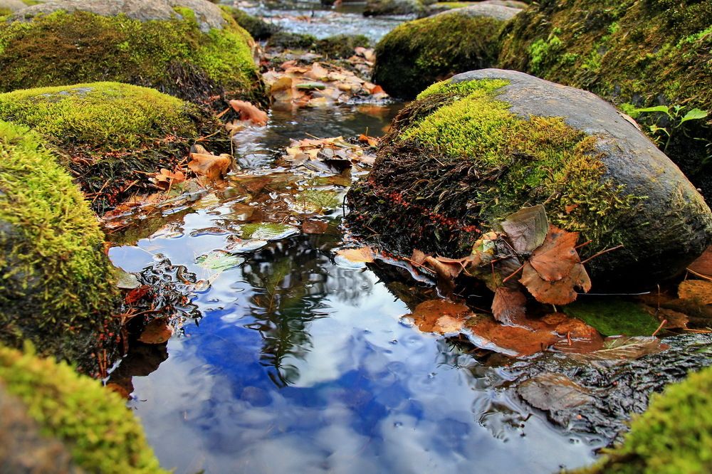 Photograph by Староверов Станислав