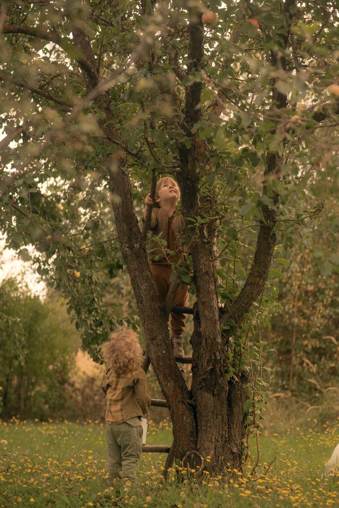 Photograph by Галина Гущина