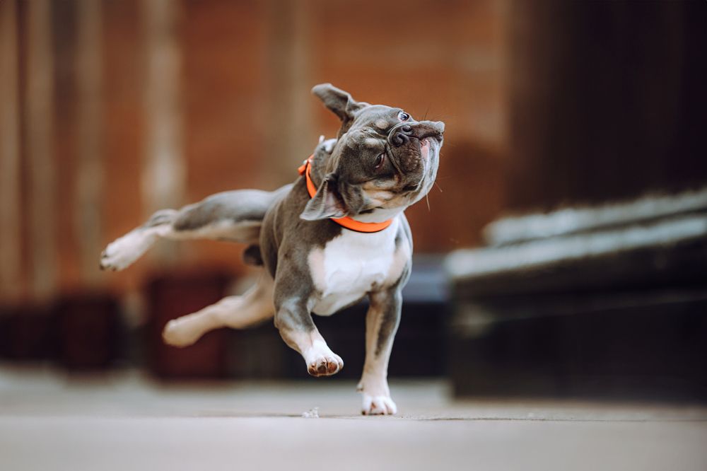 Photograph by Киреева Екатерина