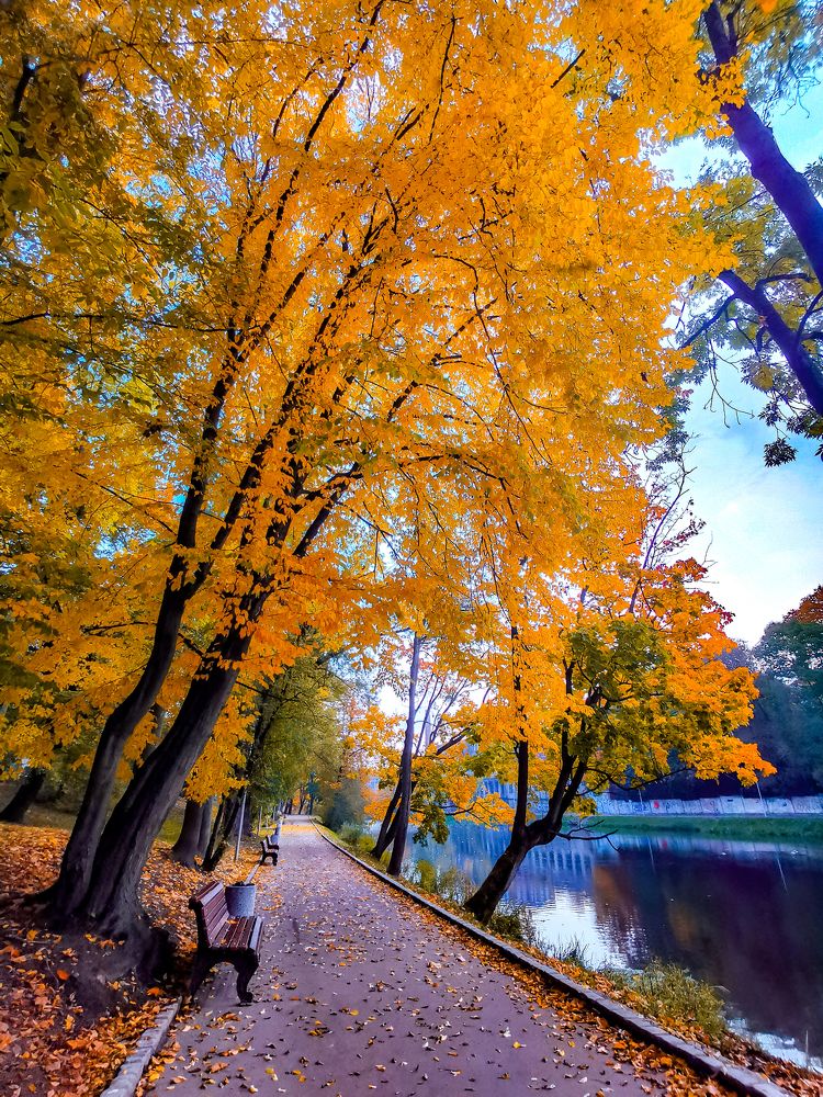 Photograph by Оксана Моргунова
