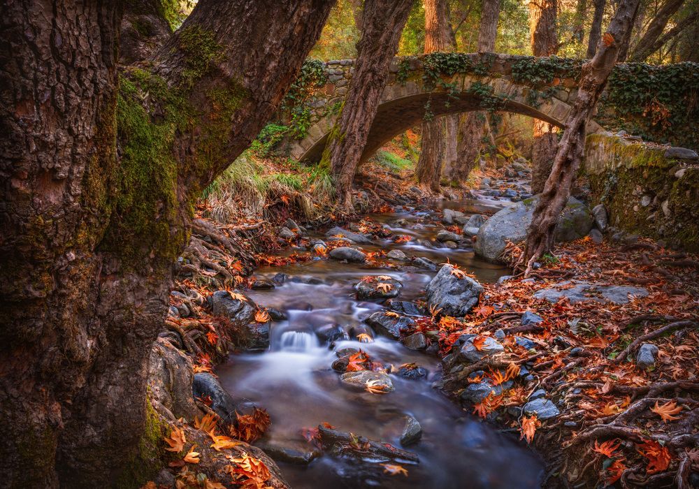 Photograph by Svetlana Tertyshnaya