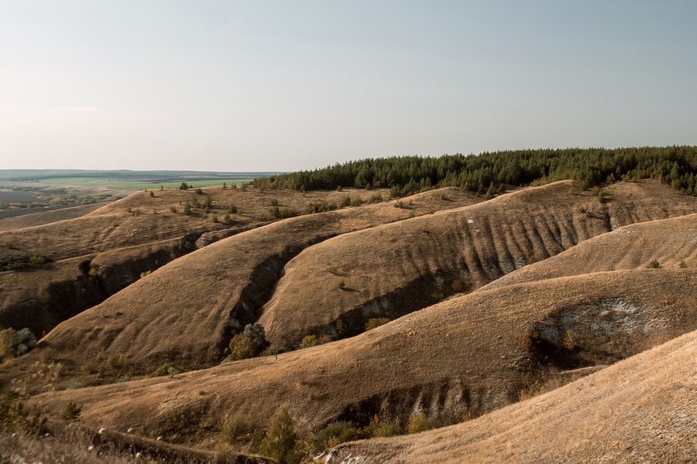 Photograph by Алена Макеева