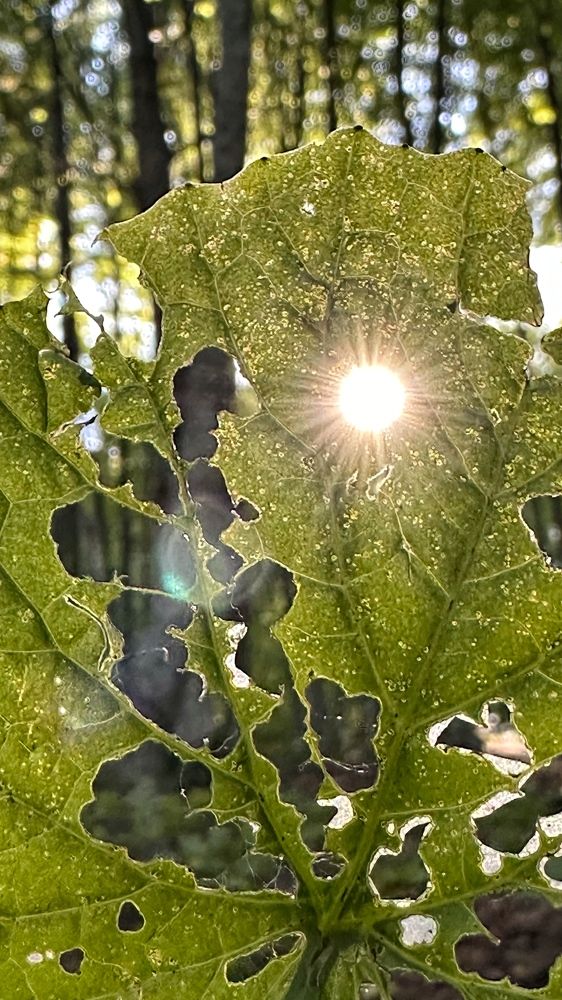 Photograph by Мария Алейникова