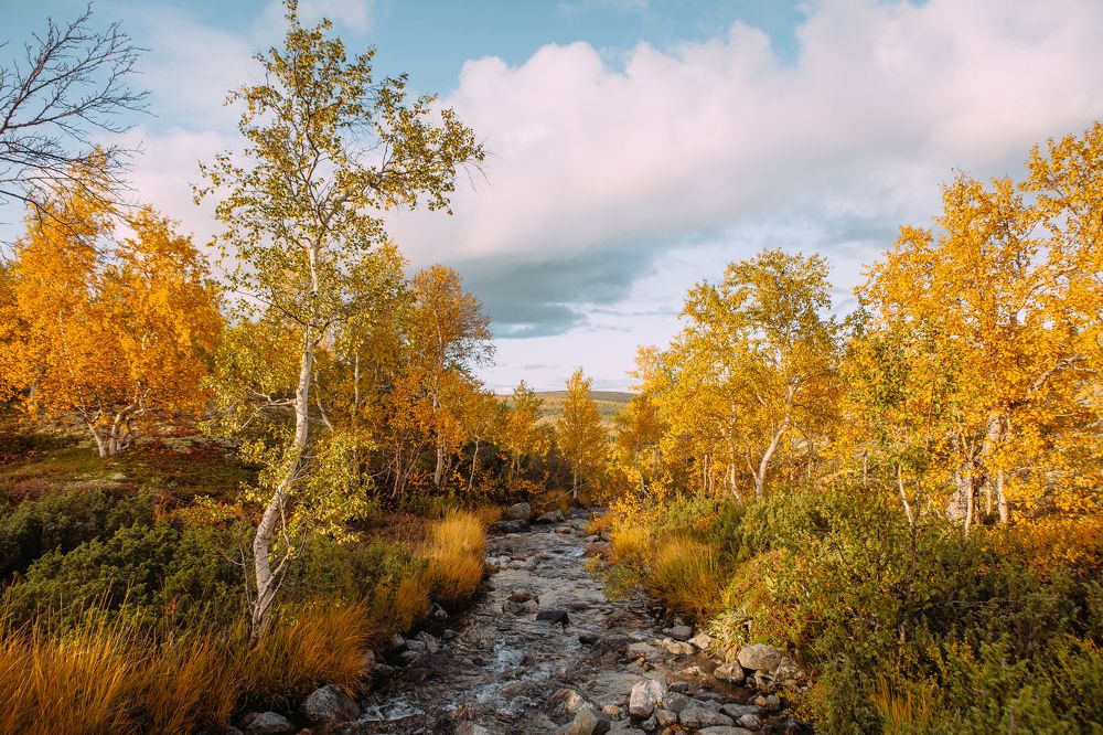 Фотография автора Алексей Новиков