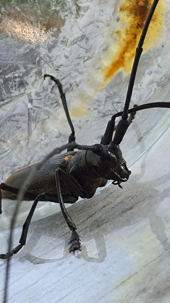 Photograph by Виктория Образцова