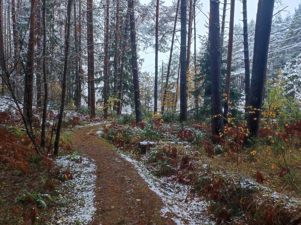 Фотография автора Ирина Линина