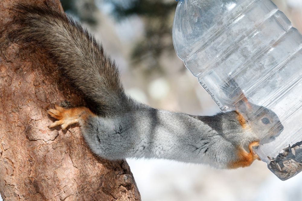 Photograph by Владимир Салапонов