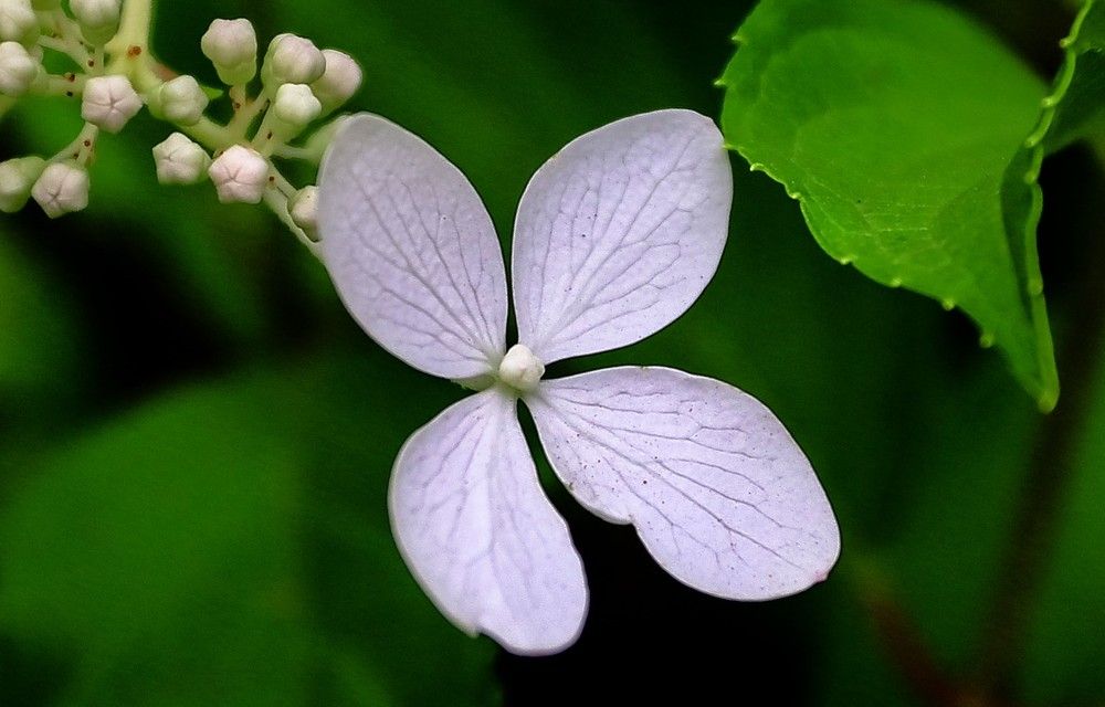 Фотография автора Дмитрий Климов