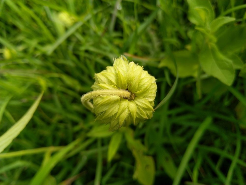 Photograph by sumit sitole