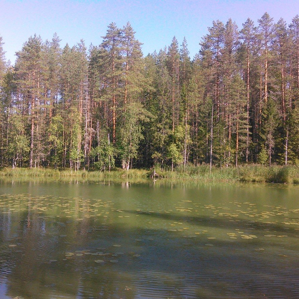 Photograph by Ani Jabua