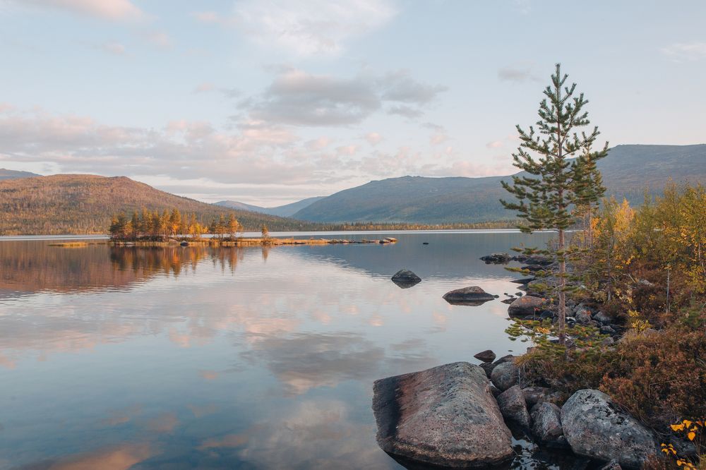 Фотография автора Алексей Новиков
