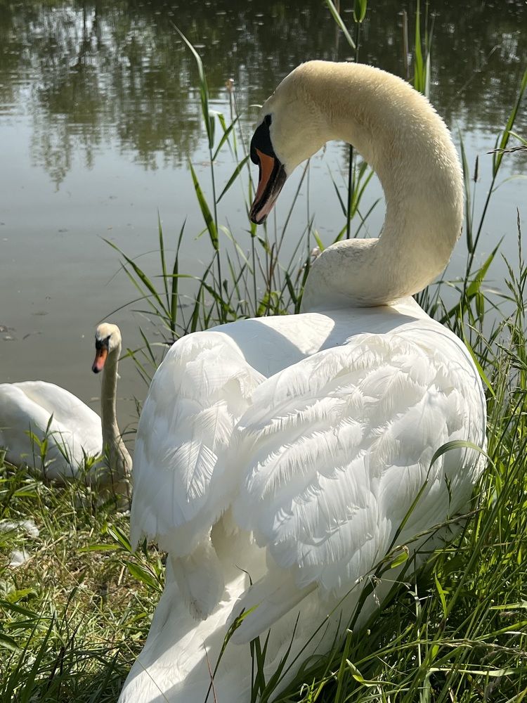 Photograph by Eugenia Schmidt