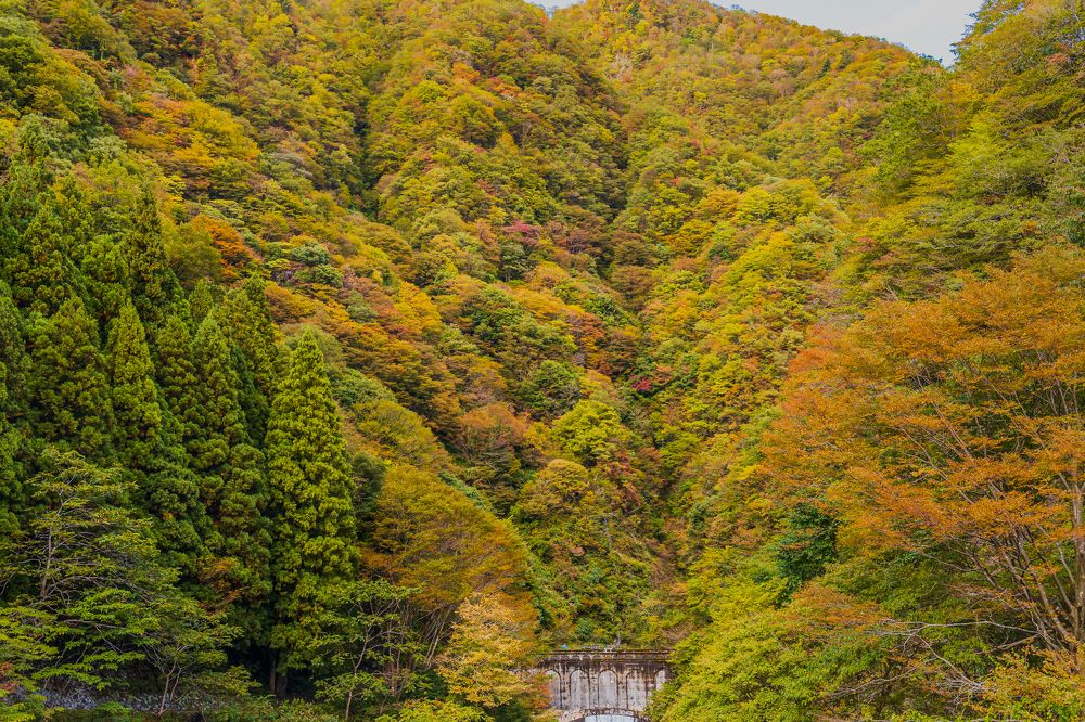 The Colors of Autumn