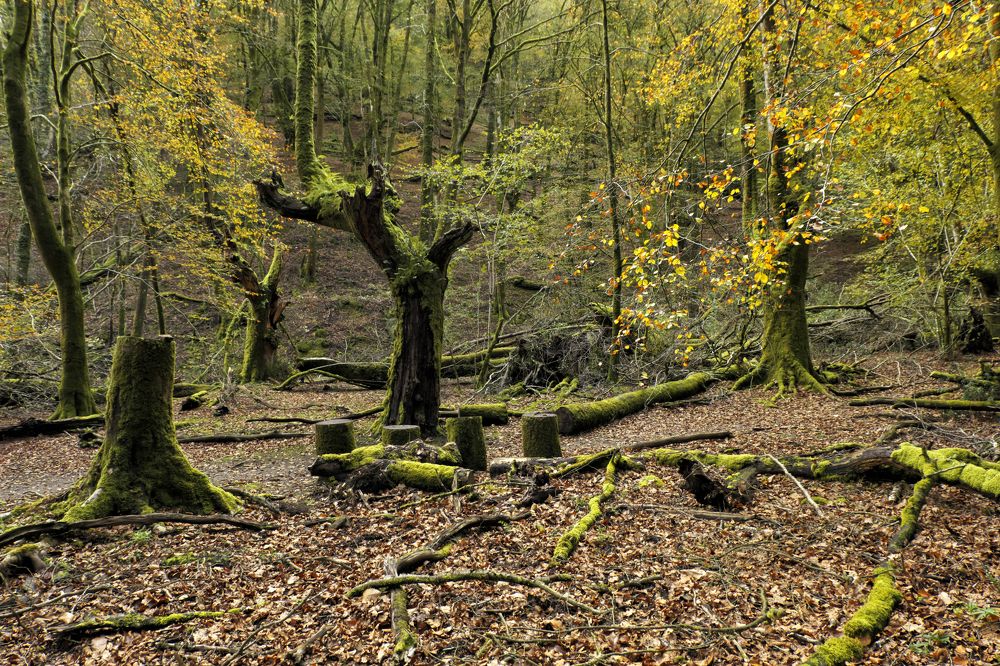 Photograph by Marian Lázaro