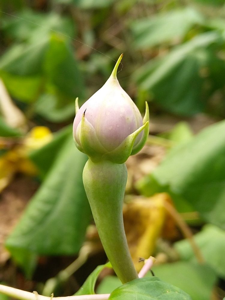 Photograph by sumit sitole