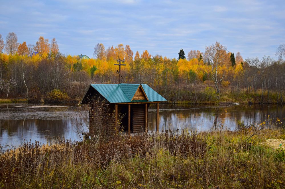 Фотография автора Оксана Льдинина