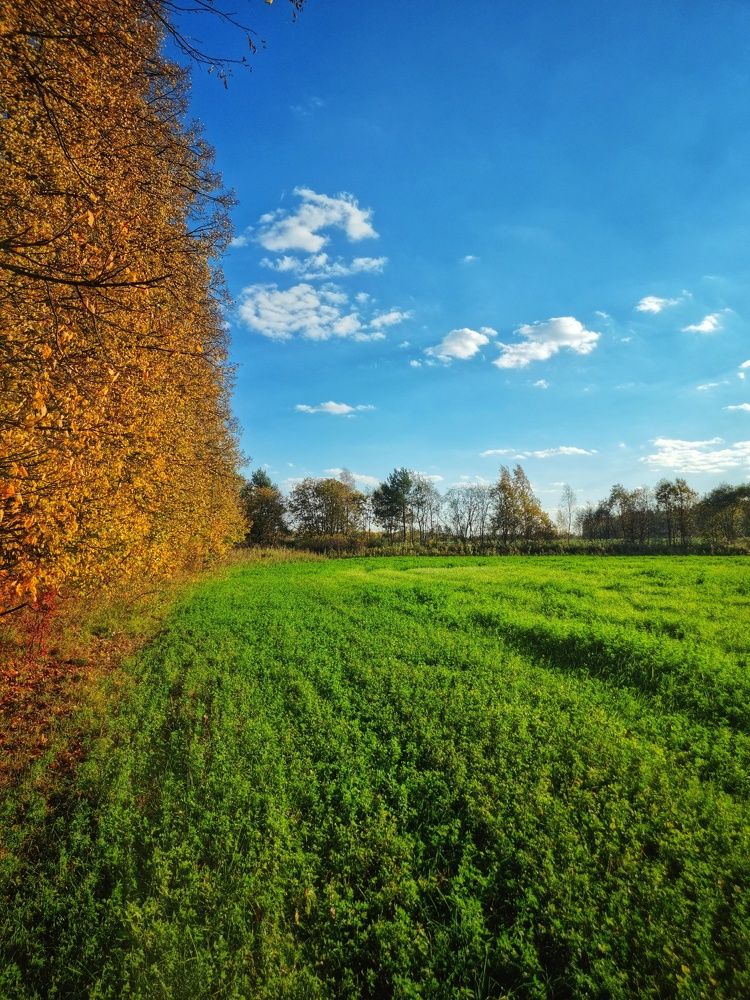 Photograph by Дина Чаица