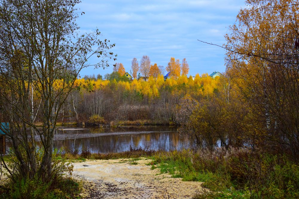 Фотография автора Оксана Льдинина