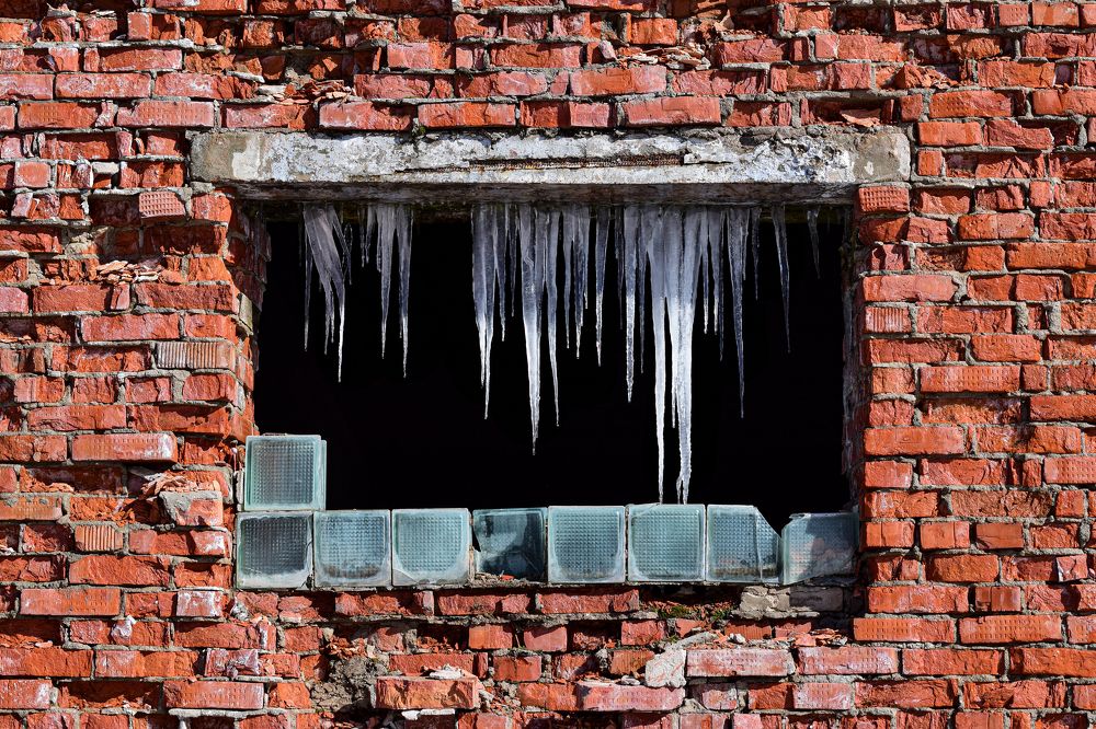 Фотография автора Оксана Льдинина