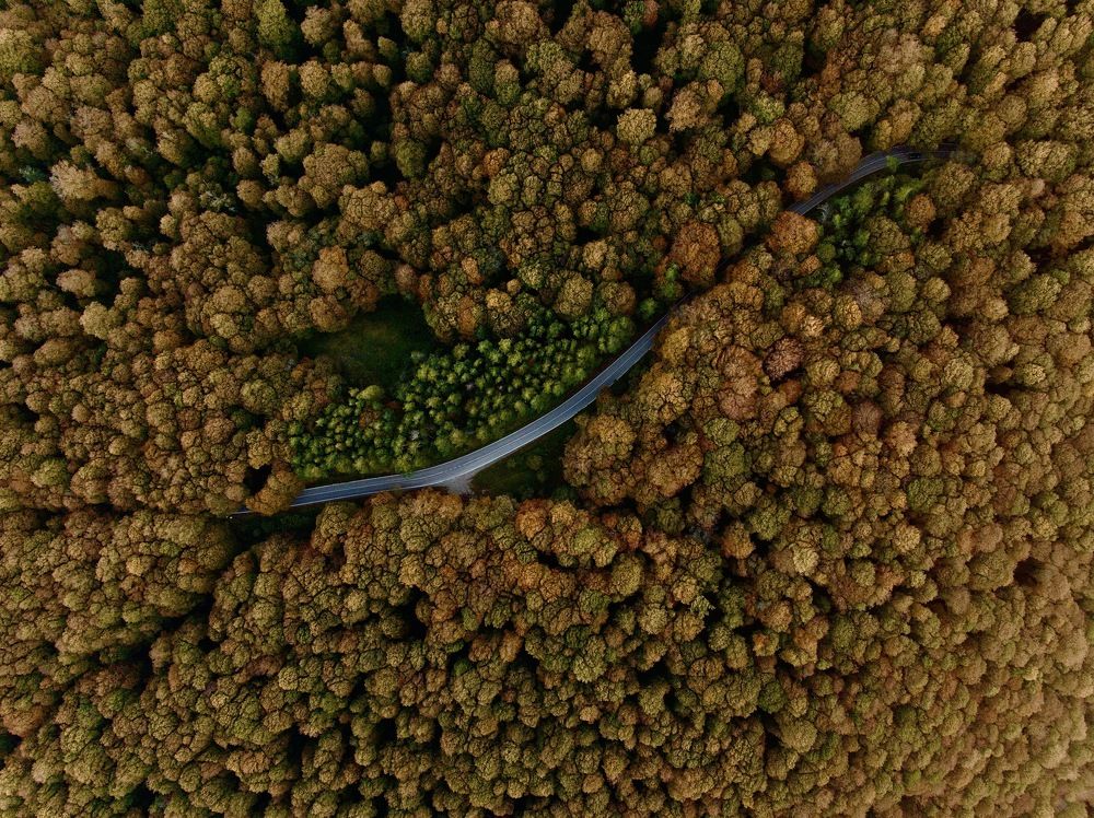 Photograph by Yulia Avhimovic