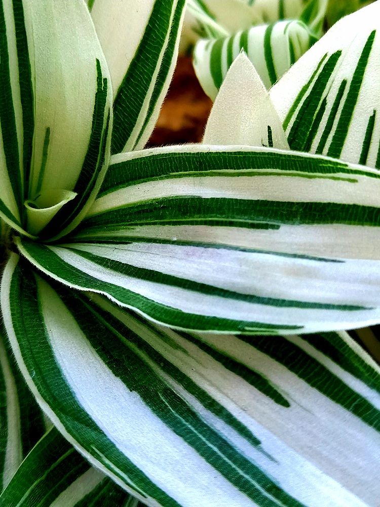 Photograph by Ольга Юрченко