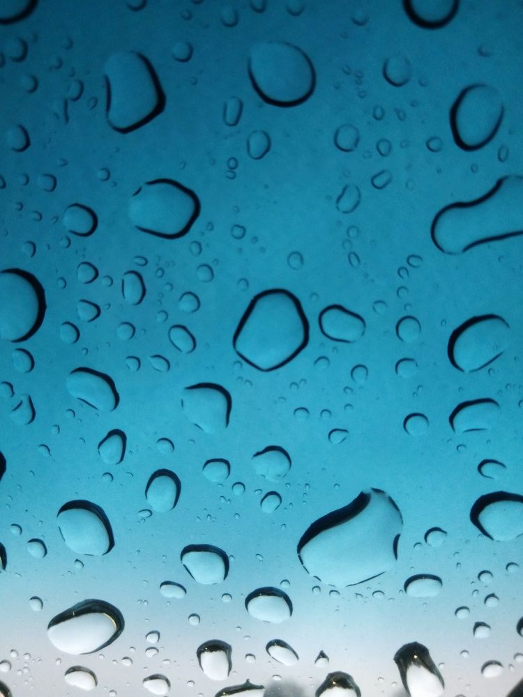 Photo #9718025